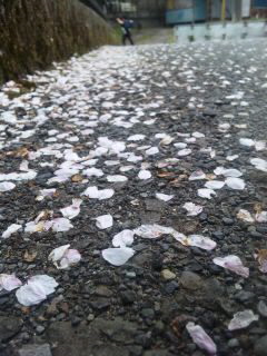 ���̎U�����A�X�t�@���g