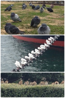 �R������