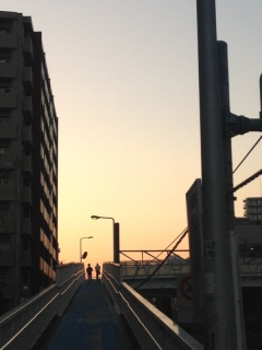 �[�Ă������ꂢ��