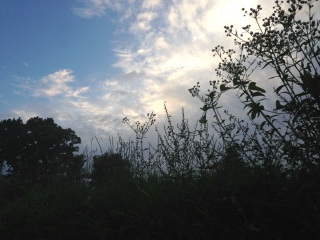 �ڂ̍����ɂ���