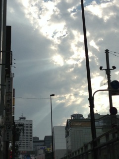 �V�g�̂͂���