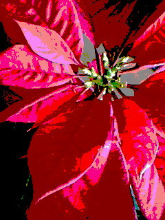 �|�C���Z�`�A