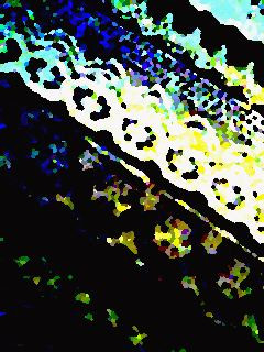 ���[�X�͗l