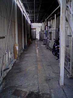 ���X�̗���