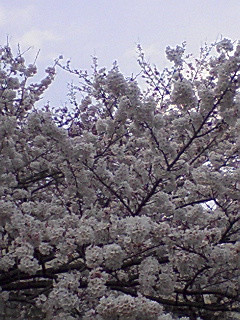 ����K������